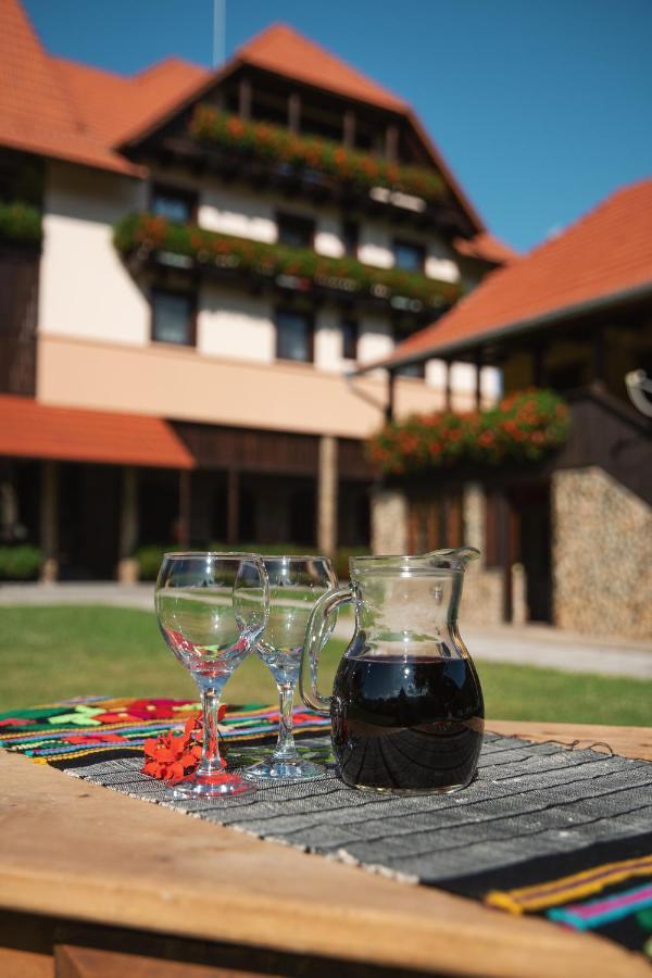 Villa Gherman Salciua de Jos Екстер'єр фото