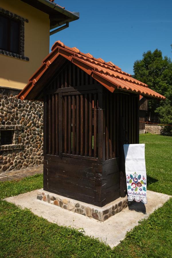 Villa Gherman Salciua de Jos Екстер'єр фото