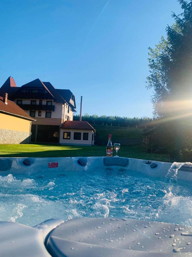 Villa Gherman Salciua de Jos Екстер'єр фото